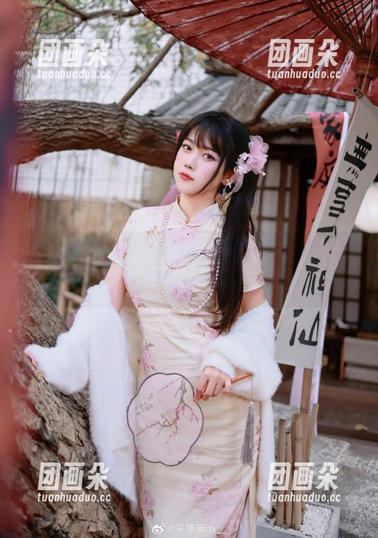 不呆猫的居家猫猫女友cos秀，最新更新让人眼前一亮，精彩不断.txt