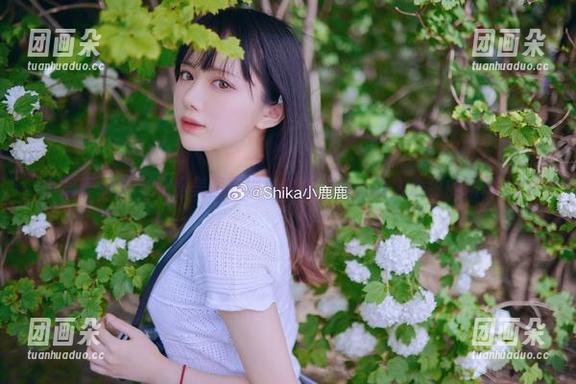 小鹿鹿shika私房美图展现：内衣之美，动人心弦的瞬间.txt