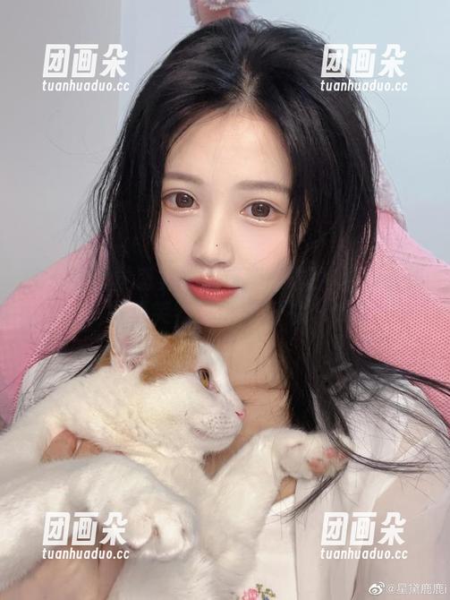 来一波视觉盛宴！星黛鹿鹿i旗袍精彩合集，壁纸笑容与优雅齐飞！.txt